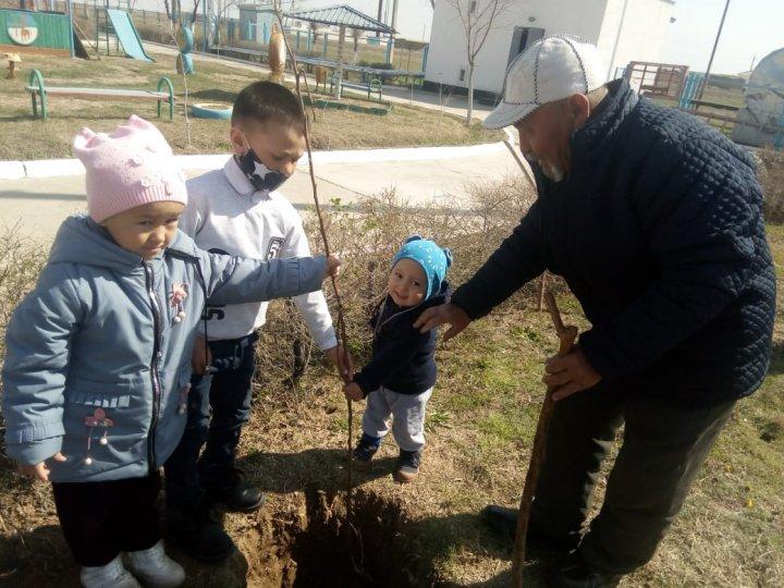 "Атадан мал қалғанша, тал қалсын"